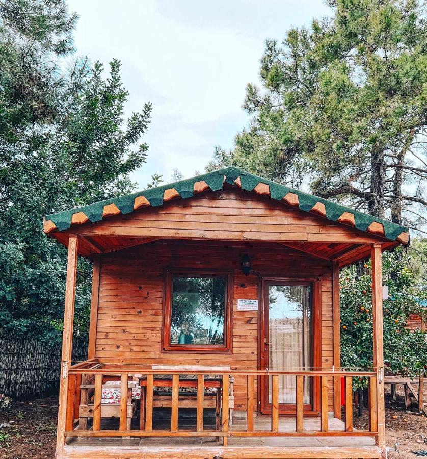 Secret Garden Hotel & Bungalows Çıralı Exteriör bild