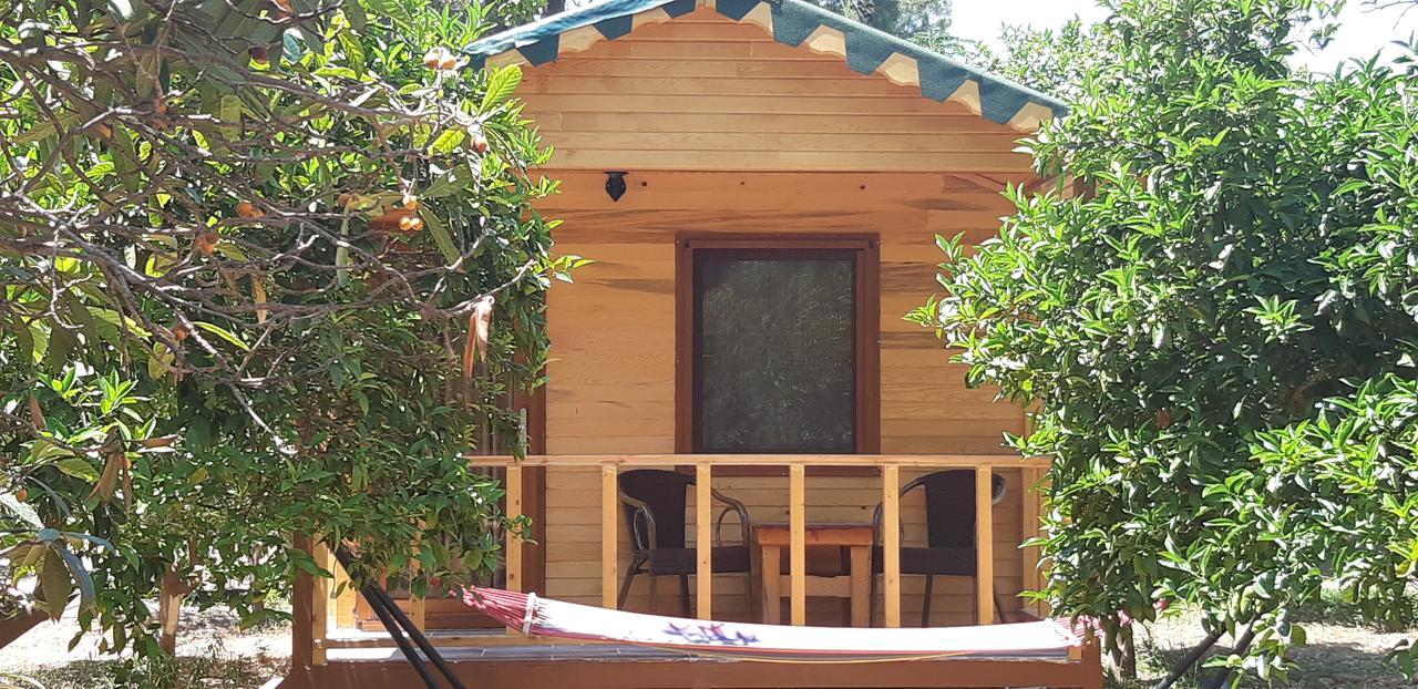 Secret Garden Hotel & Bungalows Çıralı Exteriör bild