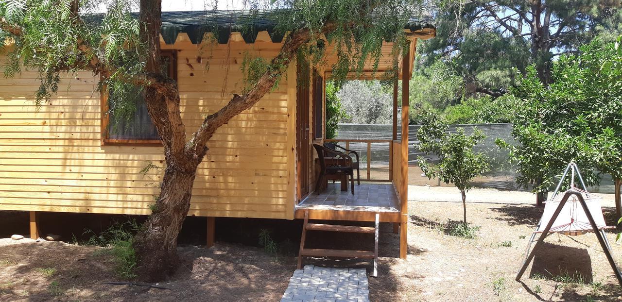 Secret Garden Hotel & Bungalows Çıralı Exteriör bild