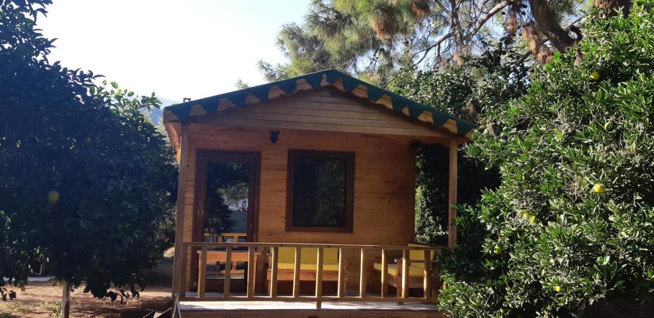 Secret Garden Hotel & Bungalows Çıralı Exteriör bild